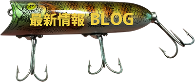 最新情報ブログ